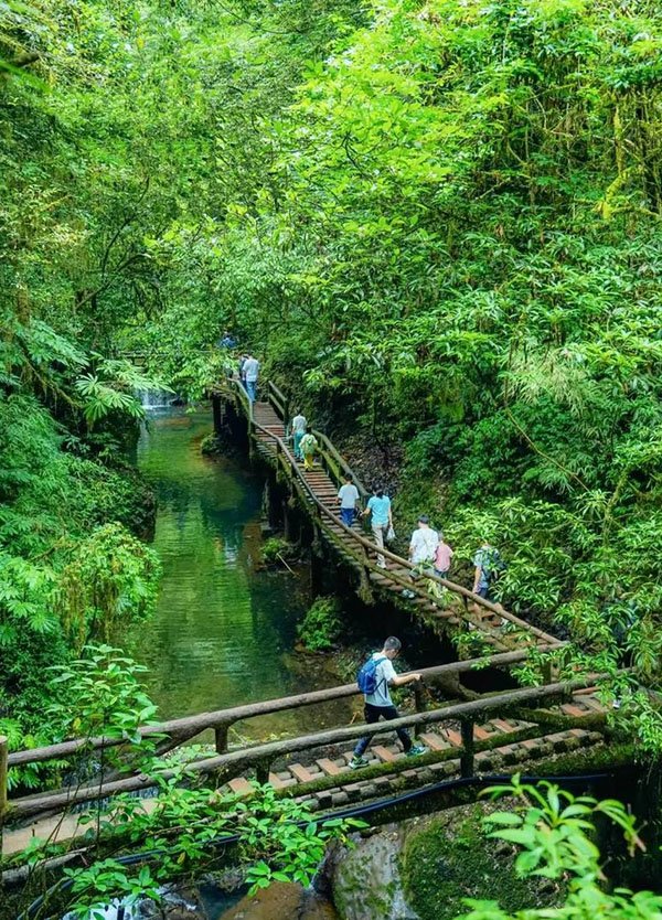 mount qingcheng