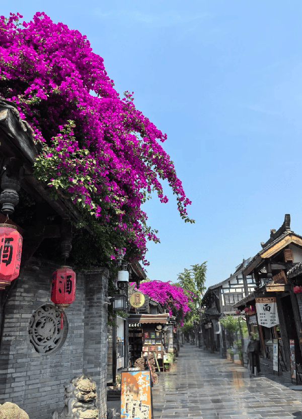 kuan-zhai alley