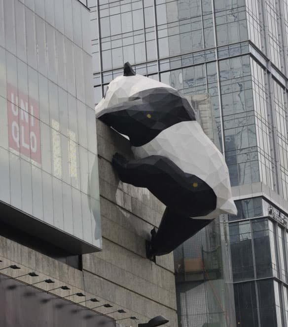 chengdu panda climbs a building chengdu panda climbs a building