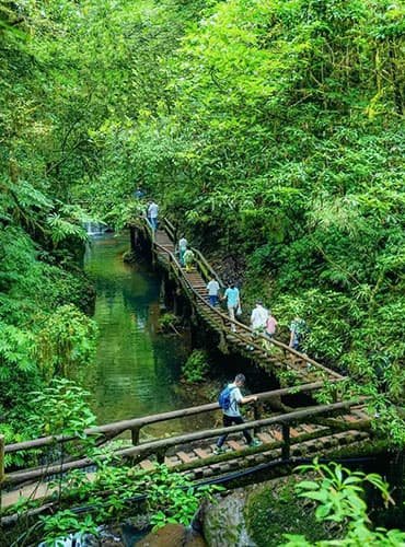 mount qingcheng