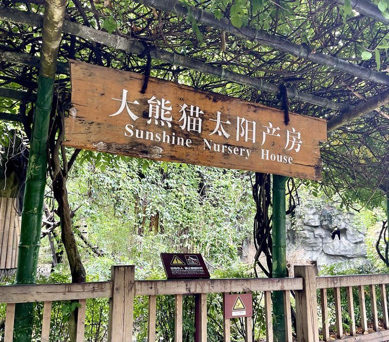 sun nursery at the panda base