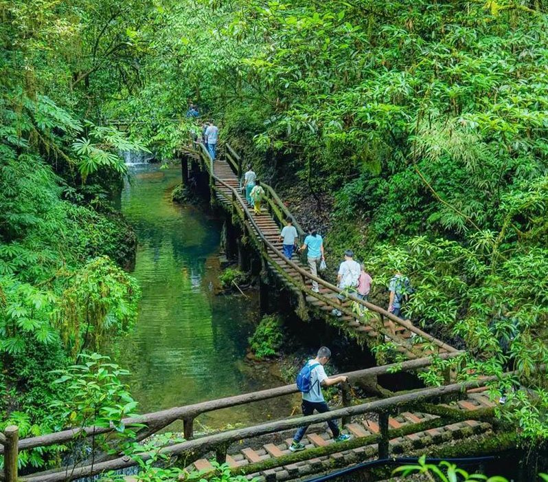 the back mountain of mount qingcheng