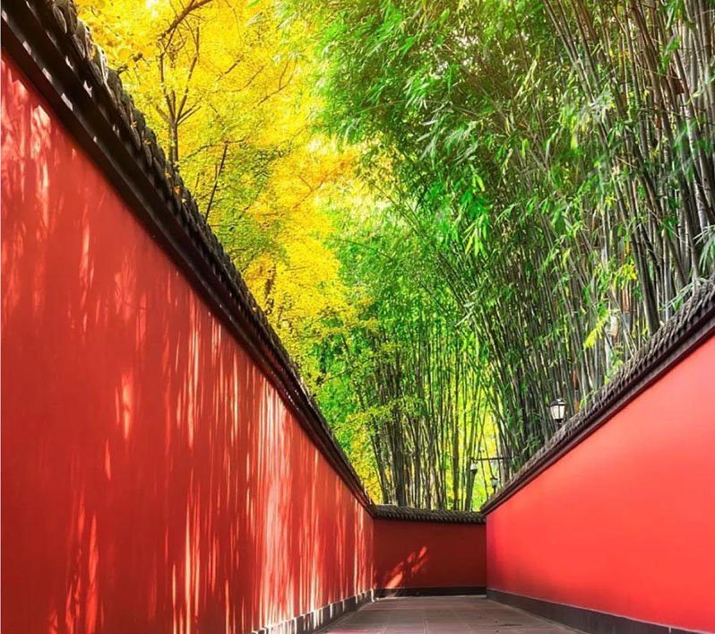 the wuhou temple in autumn